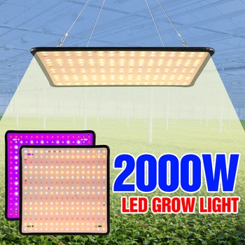 220 В, Лампа для выращивания растений Полного спектра, Гидропонная Фитолампа для растений, светодиодная лампа для выращивания рассады цветов в помещении, Фито Лампа для выращивания 2000 Вт